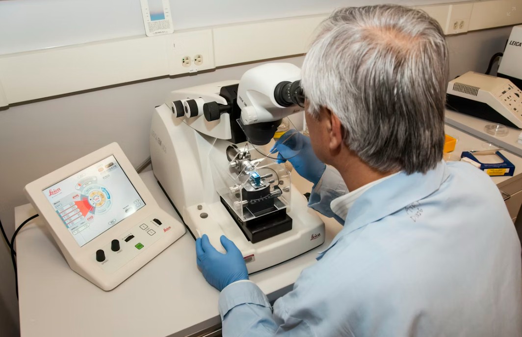 Read more about the article UIBC 검사 정상 수치, 높을 때·낮을 때 원인 및 철분 대사 평가