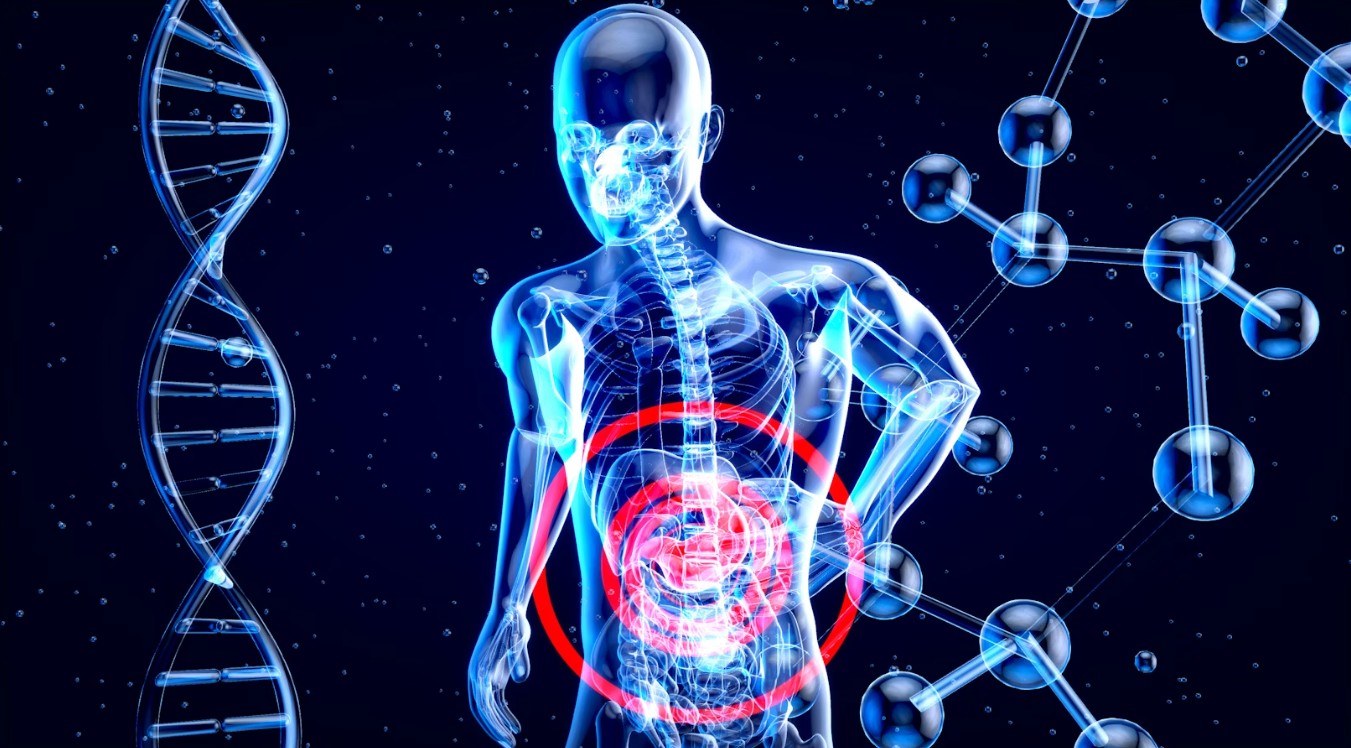 Read more about the article 간 수치(ALT, AST)의 모든 것: 정상 범위와 수치 상승이 의미하는 간 질환 분석