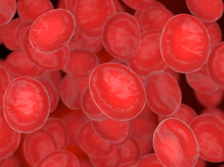 You are currently viewing LE cell(루푸스 세포) 검사 원리, 판독, 그리고 임상적 의미